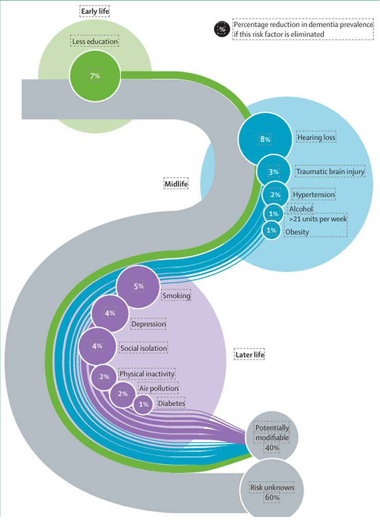Evidence-based proof of concept infographic showing modifiable dementia risk factors across early life, midlife, and later life