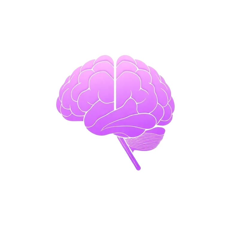 Brain illustration