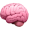 Brain Stimulation